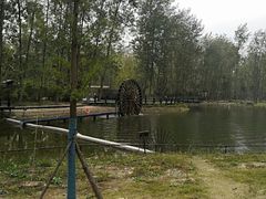 -合肥滨湖国家森林公园