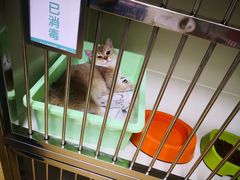 -瑞派宠物医院·24小时骨科·心脏·核磁(哈尔滨南岗店)