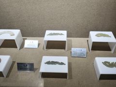 -洛阳周王城天子驾六博物馆
