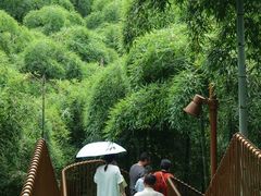 -莫干山风景区
