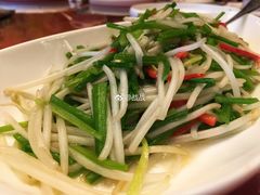 银芽素炒海菜-民族饭店-四季餐厅