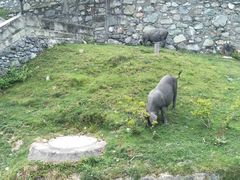 -硗碛藏寨·神木垒景区