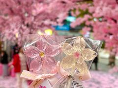 -首开·龙湖成都西宸天街