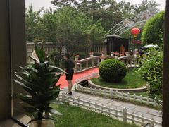 -卫鼎轩·曹公馆(鼓楼店)