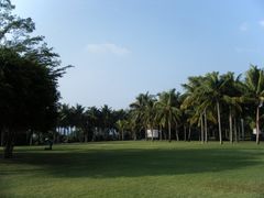 红树林酒店-三亚亚龙湾红树林度假酒店