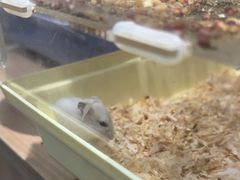 -FAELING PETS美天灵宠物(富力广场店)