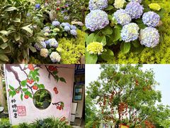 -田园印象·成都土菜院子(华阳店)