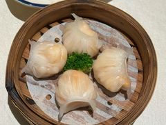 相思林虾饺皇-相思林金岛饭店(青山湖店)