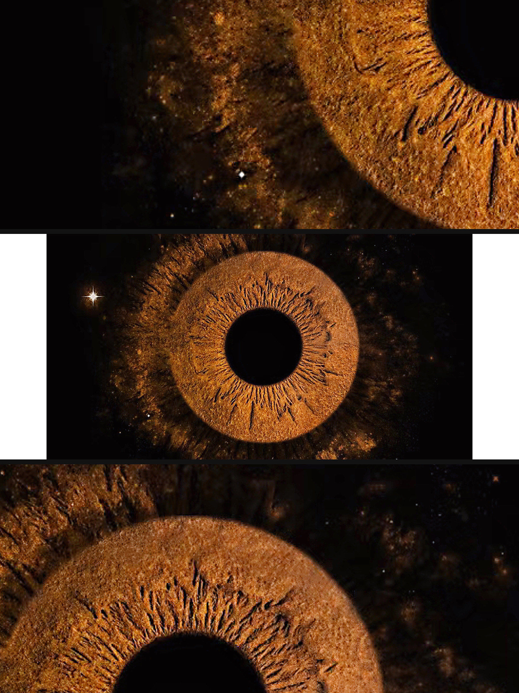 一种很新的写真📷虹膜写真👁️重庆也有啦