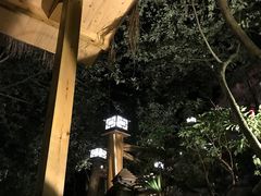 -云涛森林温泉