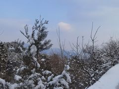-香山公园