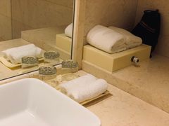 -深圳湾科技园丽雅查尔顿酒店