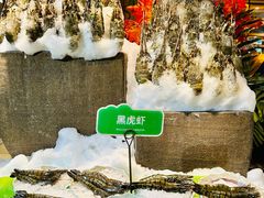-亚马逊蒸汽活海鲜自助(LCM置汇旭辉广场店)