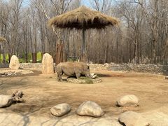 -北京野生动物园