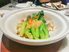 -青雅中餐厅(大连金石滩绿发希尔顿度假酒店)