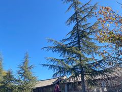 -时光吧·大堂吧·丽江和府洲际度假酒店