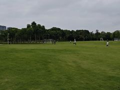 -眉山湿地公园(东坡区)