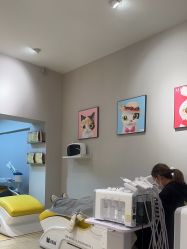 点击看大图 -洗脸猫·洗脸吧