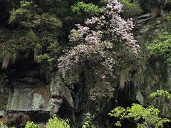 -黄山翡翠谷景区