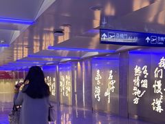 -微热山丘(桃园机场店)