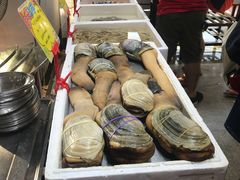 -蚝专家(北滘店)
