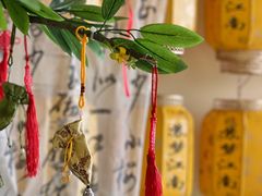 -苏梦江南·淮扬菜(夫子庙店)