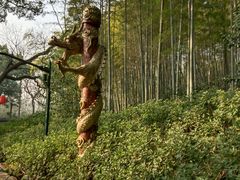 -杭州黄龙洞