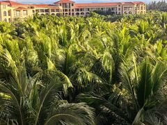 -三亚海棠湾喜来登度假酒店