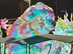 -海合安武汉极地海洋公园