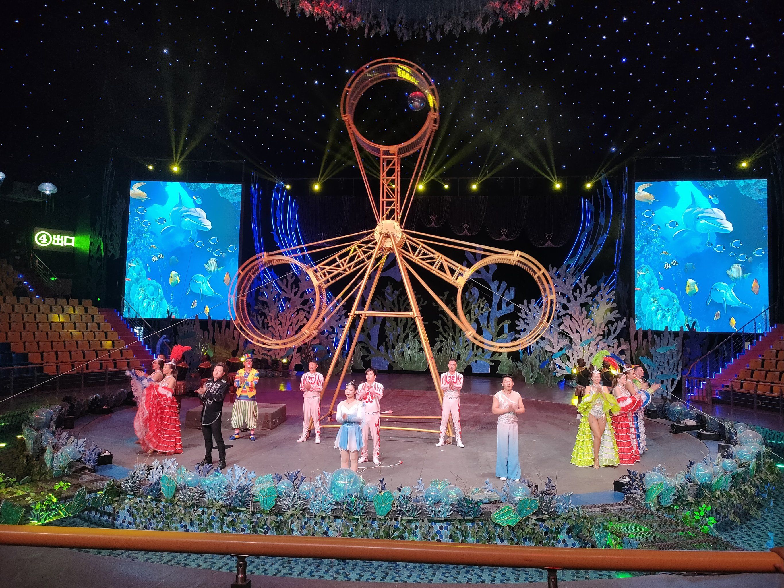 野生动物园的马戏团表演很赞