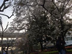 -上海南浦大桥长途旅游客运站