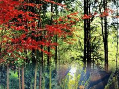 -梭布垭石林景区