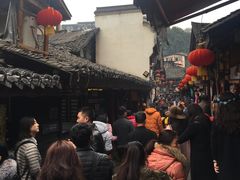 -胖娃古镇鸡杂(磁器口总店)