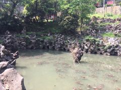 -伯先公园