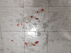 -江湾体育中心游泳馆