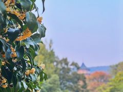 -灵谷景区