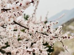 -慕田峪长城