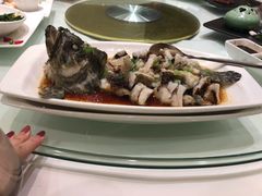 古法蒸石斑鱼-金时代顺风大酒店(爱琴海购物中心店)