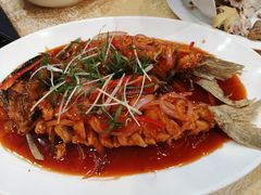 五柳松子鱼-九大簋家宴(北京路店)