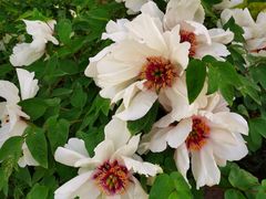 -张掖大佛寺景区