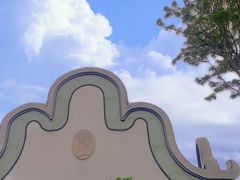 -王借岗森林公园