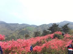 -木兰云雾山