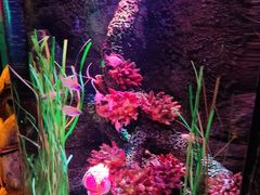 -沈阳海洋探索中心