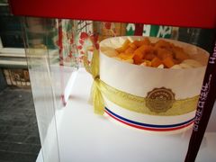 -维尔纳斯·生日蛋糕·动物奶油冰淇淋蛋糕(六里桥店)