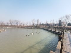 -盐城丹顶鹤湿地生态旅游区