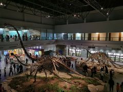 -自贡恐龙博物馆