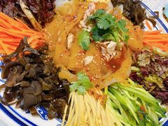 五彩大拉皮-川人百味(天津远洋未来广场店)