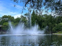 -上海共青森林公园