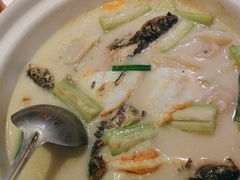 -刘胖子家常菜·蹄花焖藕(兴业店)