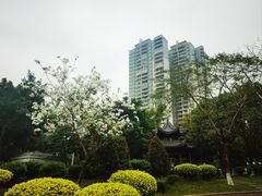 -飞来湖湿地公园